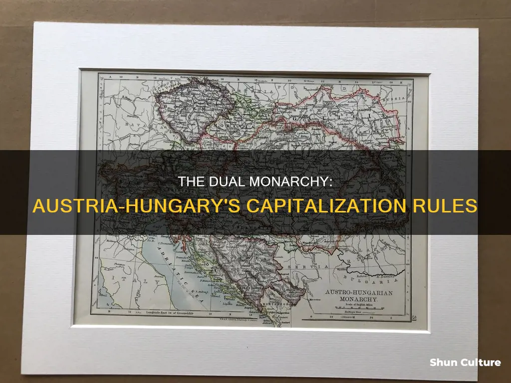 do you capitalize dual monarchy of austria-hungary function