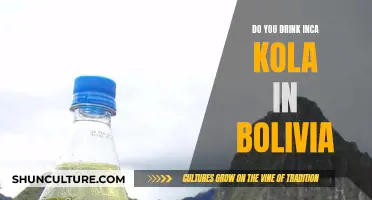 Inca Kola: The Unique Taste of Bolivia