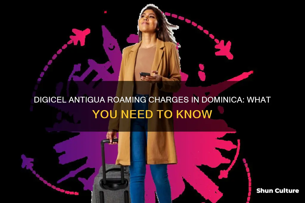 do you get roaming charges from digicel antigua in dominica