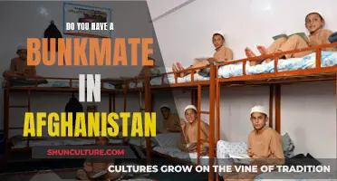 Bunking Alone or With a Buddy: Living Arrangements in Afghanistan's Military