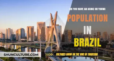 Brazil's Demographic Shift: Aging or Youthful Population Dominates?