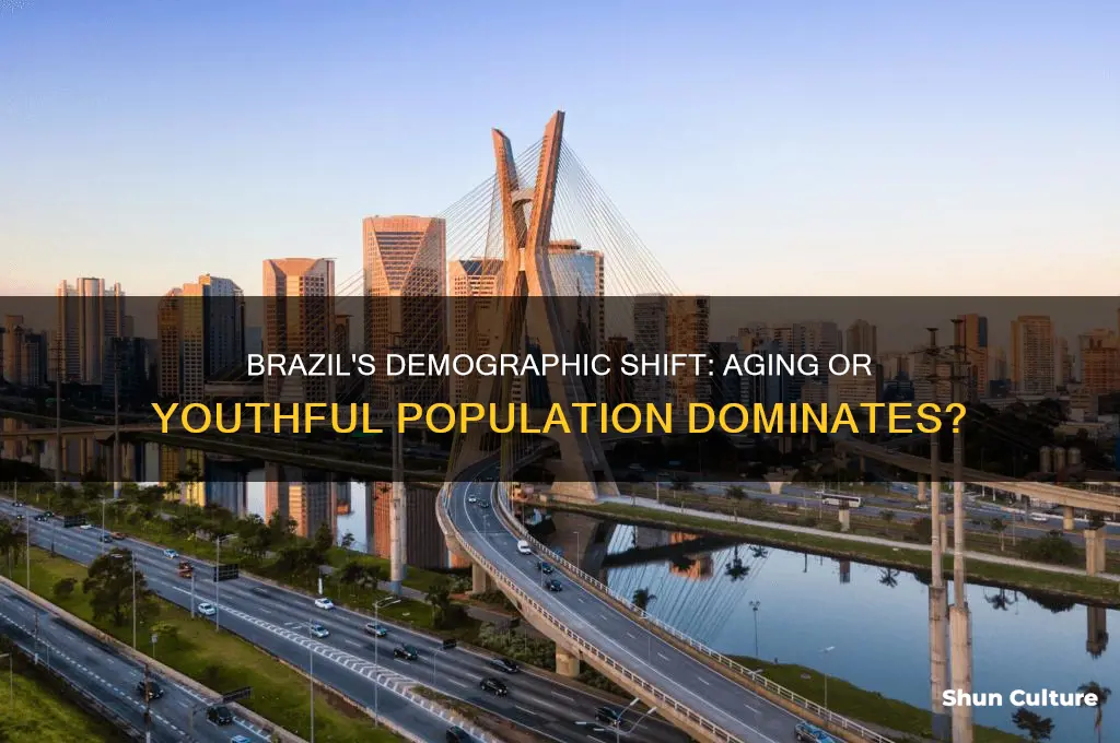 do you have an aging or young population in brazil