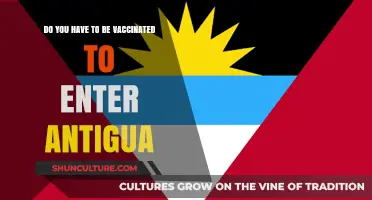 Antigua Travel Requirements: Vaccination Status and Entry Guidelines Explained