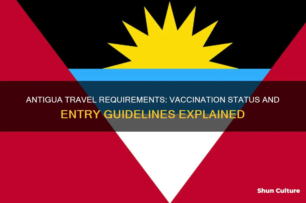 do you have to be vaccinated to enter antigua