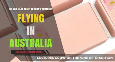 Flying Within Australia: Do You Need to Go Through Customs?