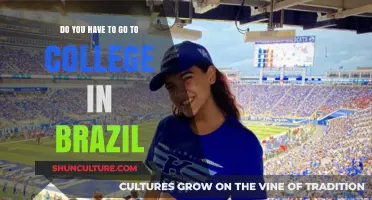 Exploring Higher Education in Brazil: Is College Attendance Mandatory?