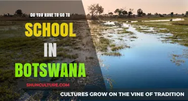 Exploring Education in Botswana: Is School Attendance Mandatory?