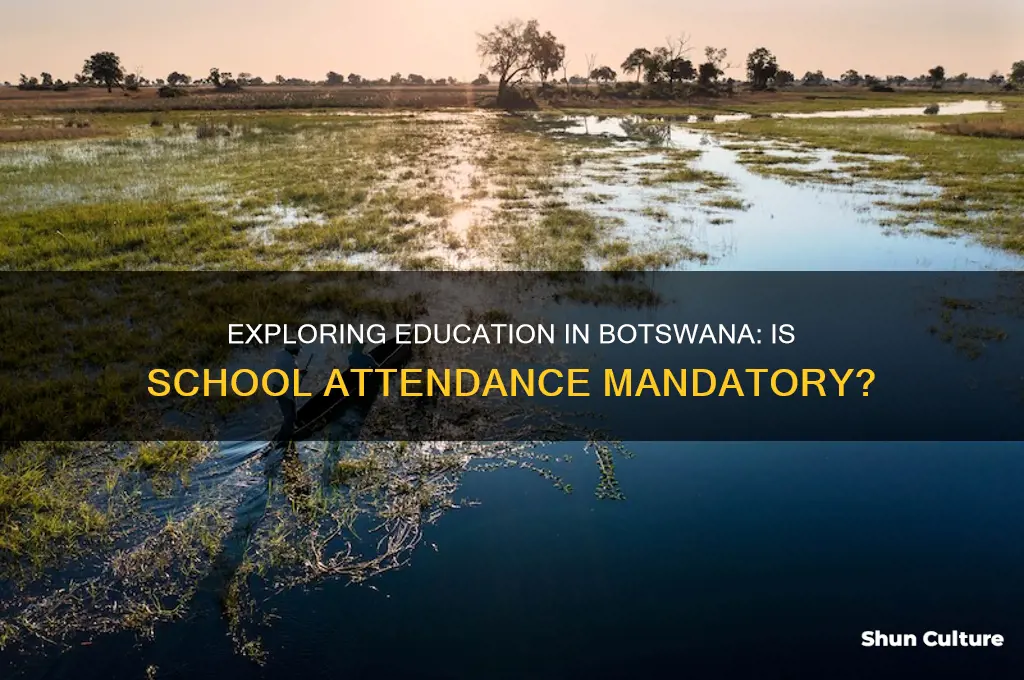 do you have to go to school in botswana
