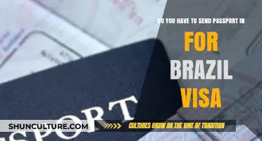 Brazil Visa Passport Requirement: Do You Need to Send It In?