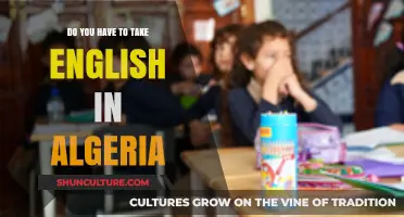 English Education in Algeria: Mandatory or Optional for Students?