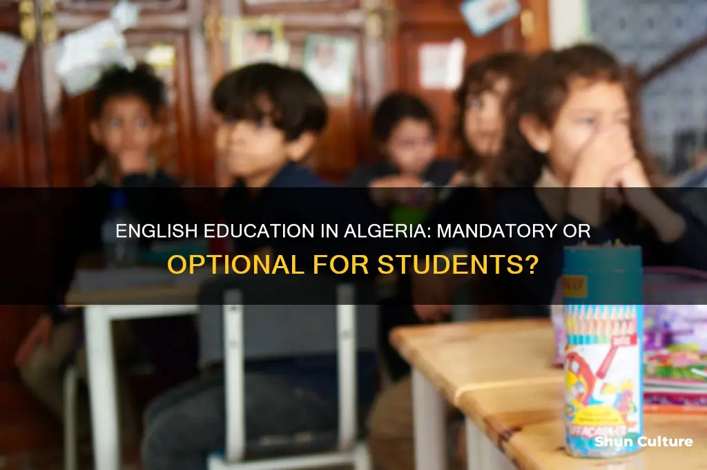 do you have to take english in algeria