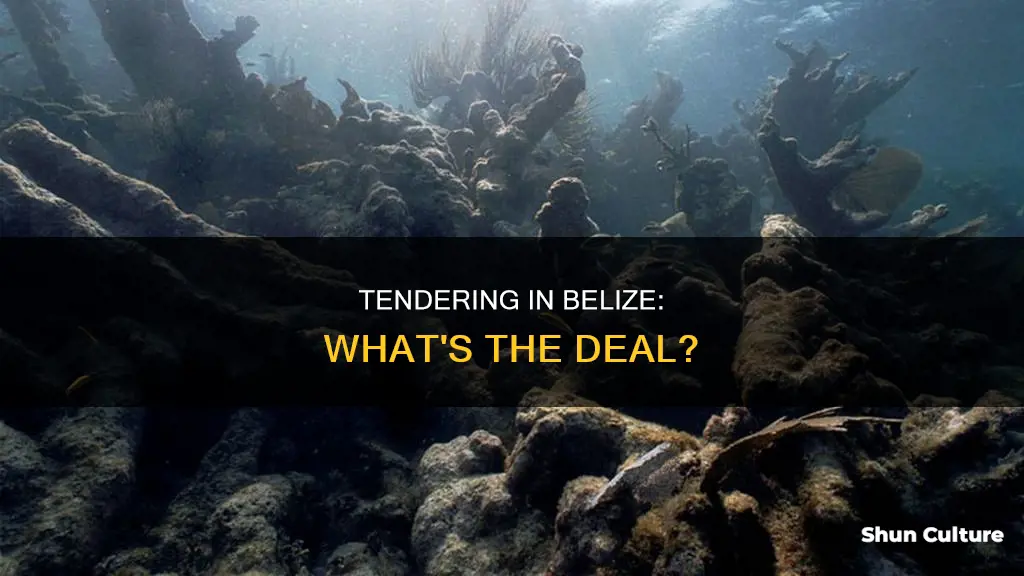 do you have to tender in belize