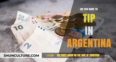 Exploring Tipping Customs in Argentina: A Traveler's Guide
