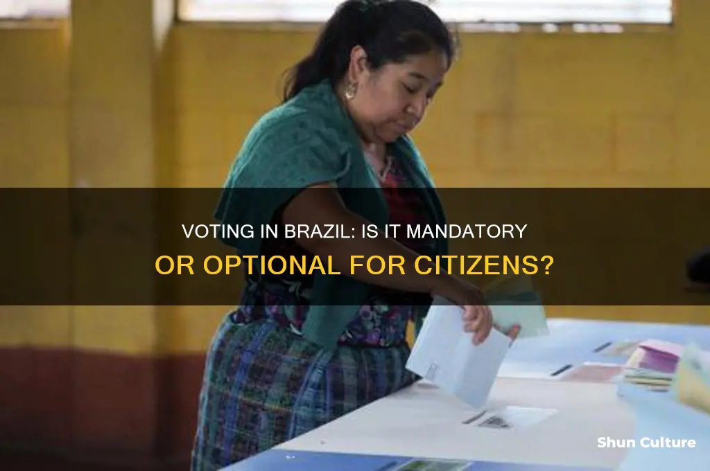 do you have to vote in brazil