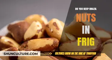 Should You Refrigerate Brazil Nuts? Storage Tips for Freshness