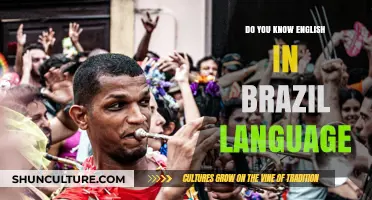 Exploring English in Brazil: Language, Culture, and Communication Insights