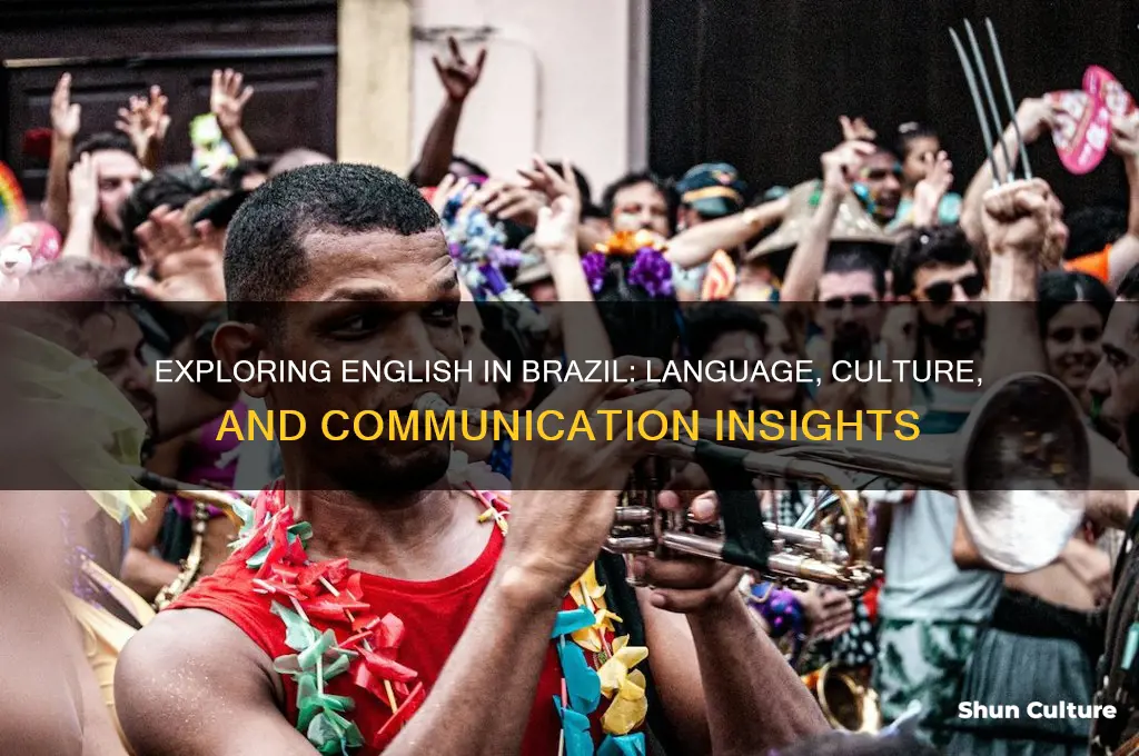 do you know english in brazil language