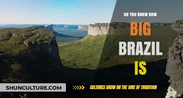 Discover Brazil's Astonishing Size: A Surprising Geographical Overview