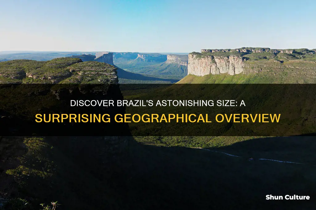 do you know how big brazil is