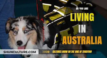 Exploring Life Down Under: My Australian Adventure