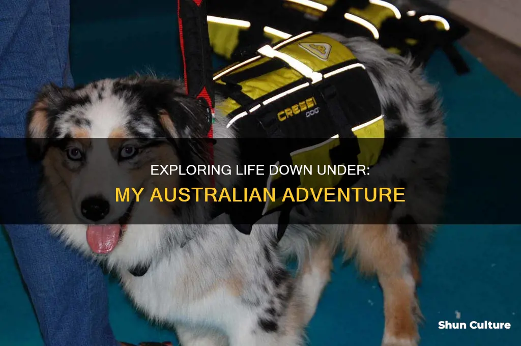 do you like living in australia