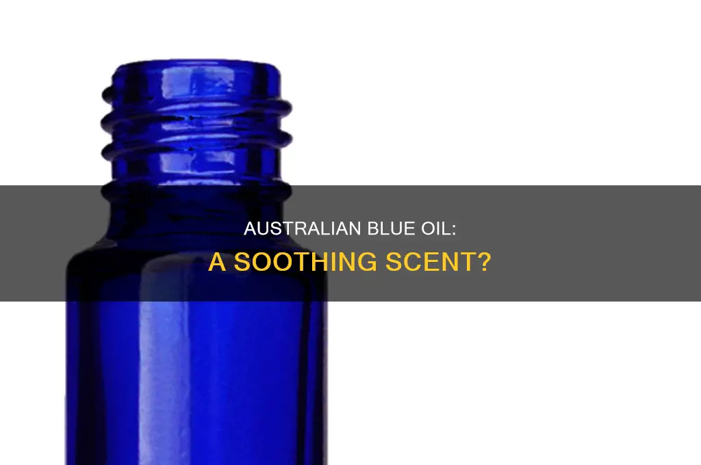 do you like the smell of australian blue oil