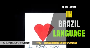Você Me Ama? Exploring Love in Brazilian Portuguese Language and Culture