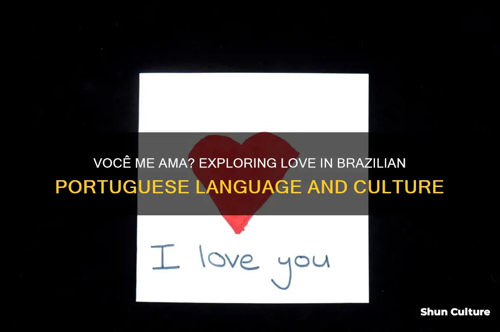 do you love me in brazil language