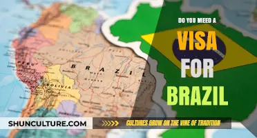 Do You Need a Visa for Brazil? Essential Travel Requirements Explained
