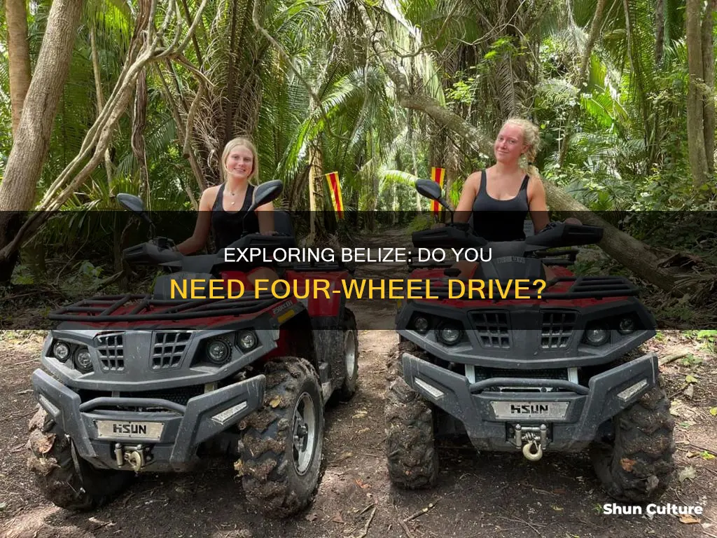 do you need 4 wheel drive in belize