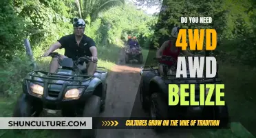 Exploring Belize: Do You Need 4WD or AWD?