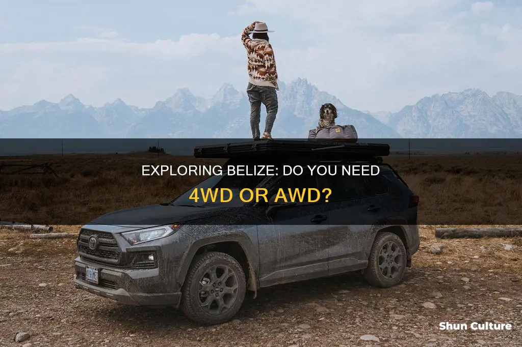 do you need 4wd awd belize