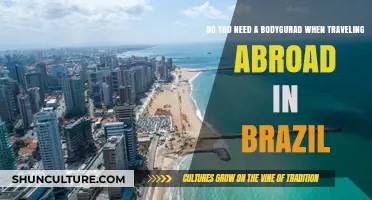 Traveling to Brazil: Should You Hire a Bodyguard for Safety?