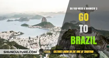 Bouncer Requirement for Brazil Travel: What You Need to Know