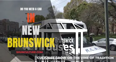 Car-Free Living in New Brunswick
