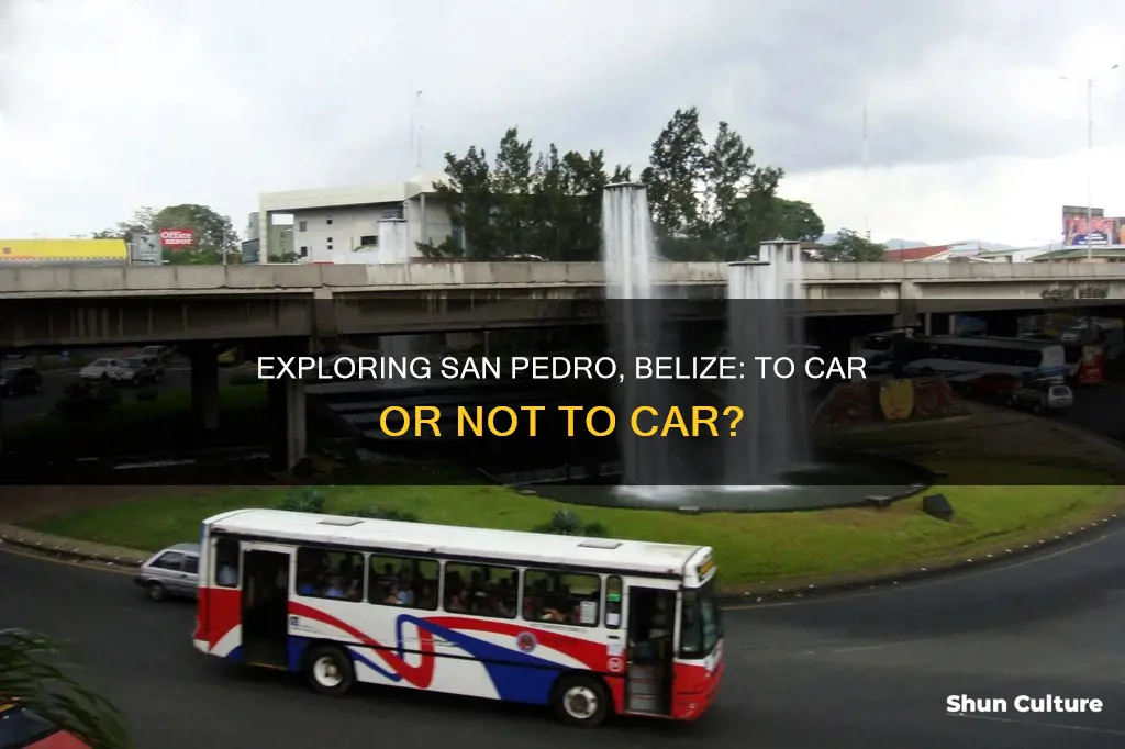 do you need a car in san pedro belize