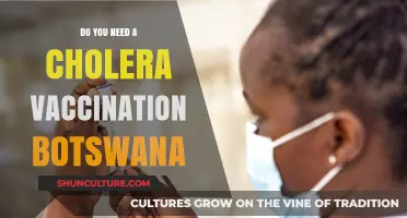 Cholera Vaccination in Botswana: Essential Travel Health Guide