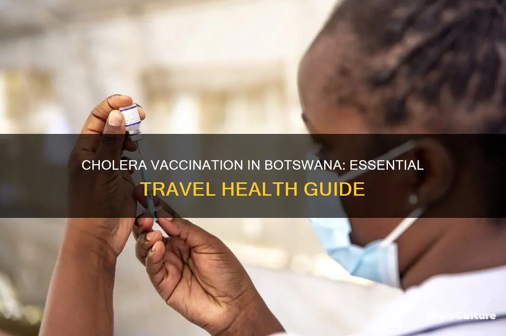do you need a cholera vaccination botswana