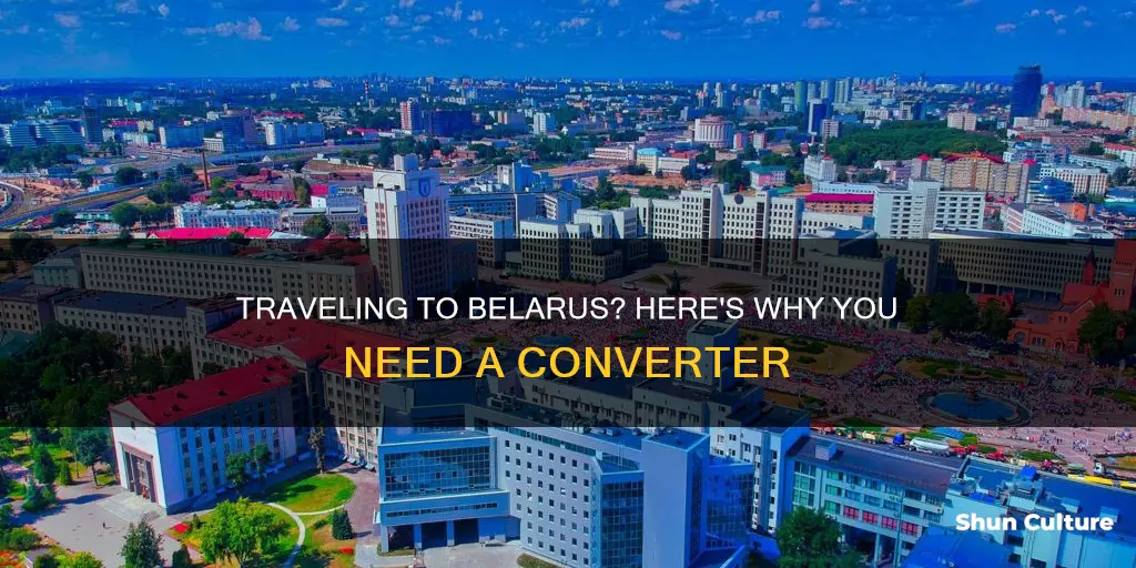 do you need a converter for belarus