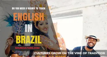 Teaching English in Brazil: Degree Required or Not?