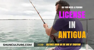 Fishing License Requirements in Antigua: What You Need to Know