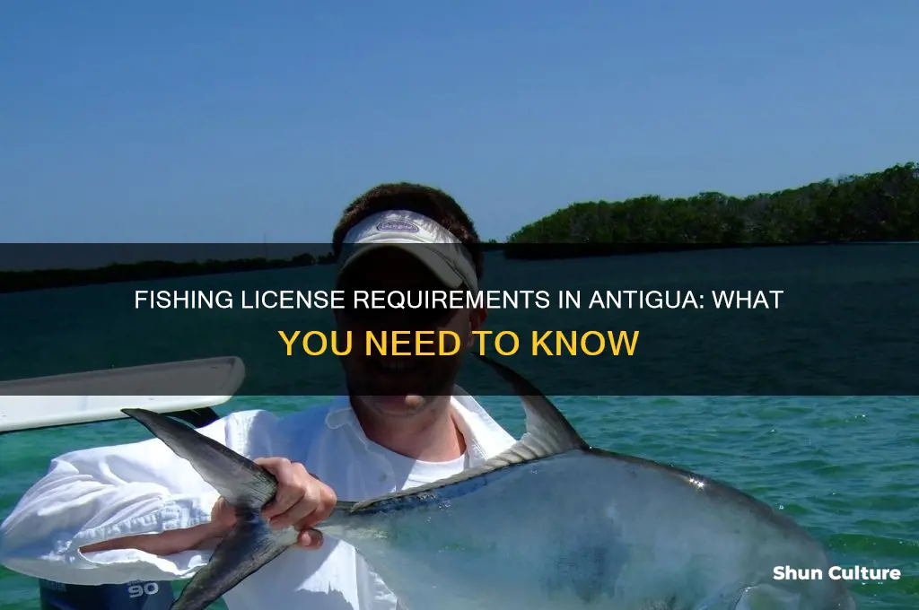 do you need a fishing license in antigua