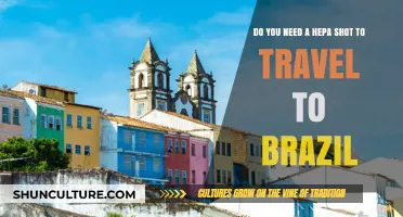 Traveling to Brazil: Do You Need a Hepatitis Shot?
