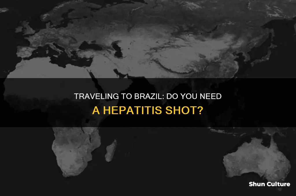 do you need a hepa shot to travel to brazil