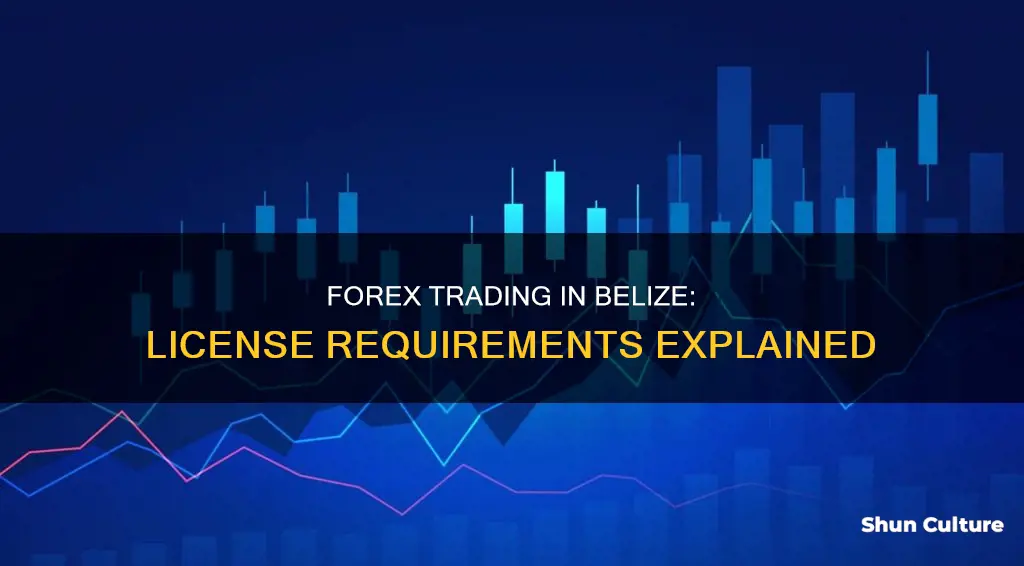 do you need a license to forex in belize