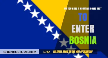 Traveling to Bosnia: COVID-19 Testing Requirements Explained