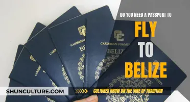 Travel Documents: Passport Required for Belize?