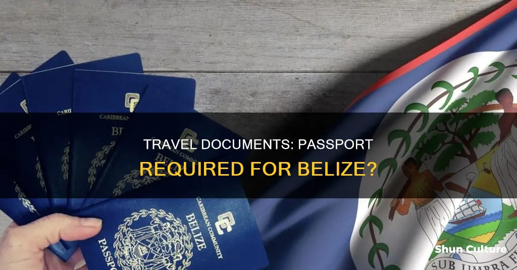 do you need a passport to fly to belize