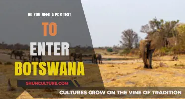Traveling to Botswana: PCR Test Requirements and Entry Guidelines