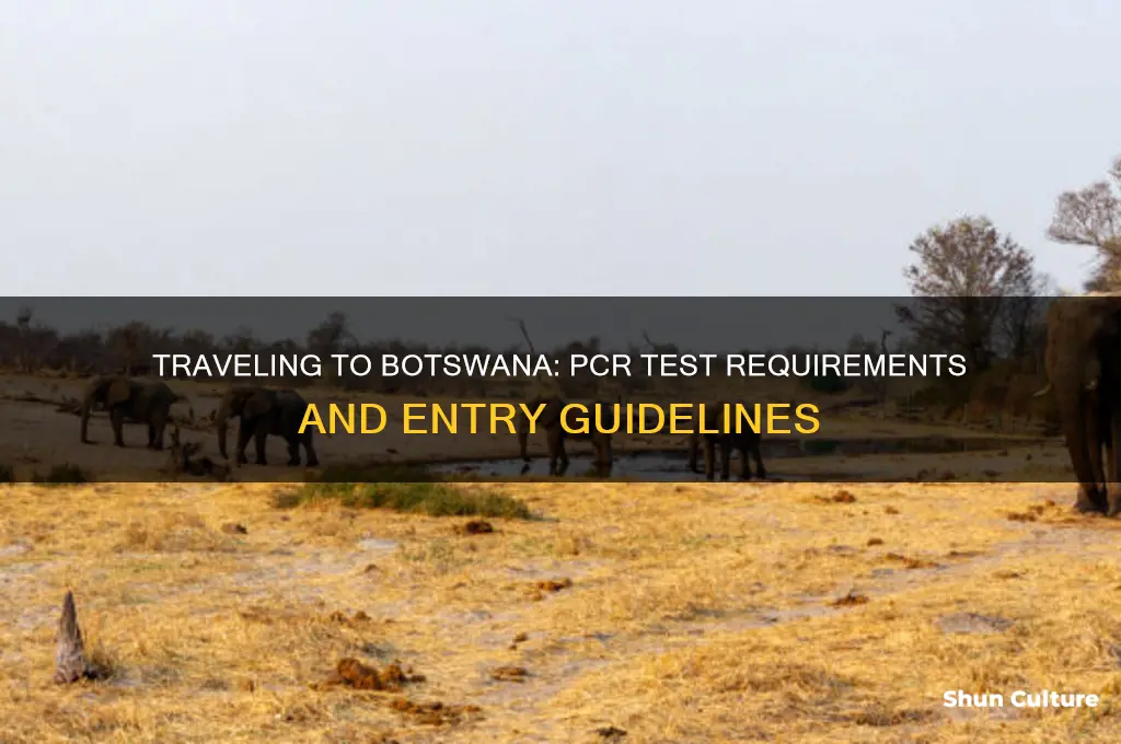 do you need a pcr test to enter botswana